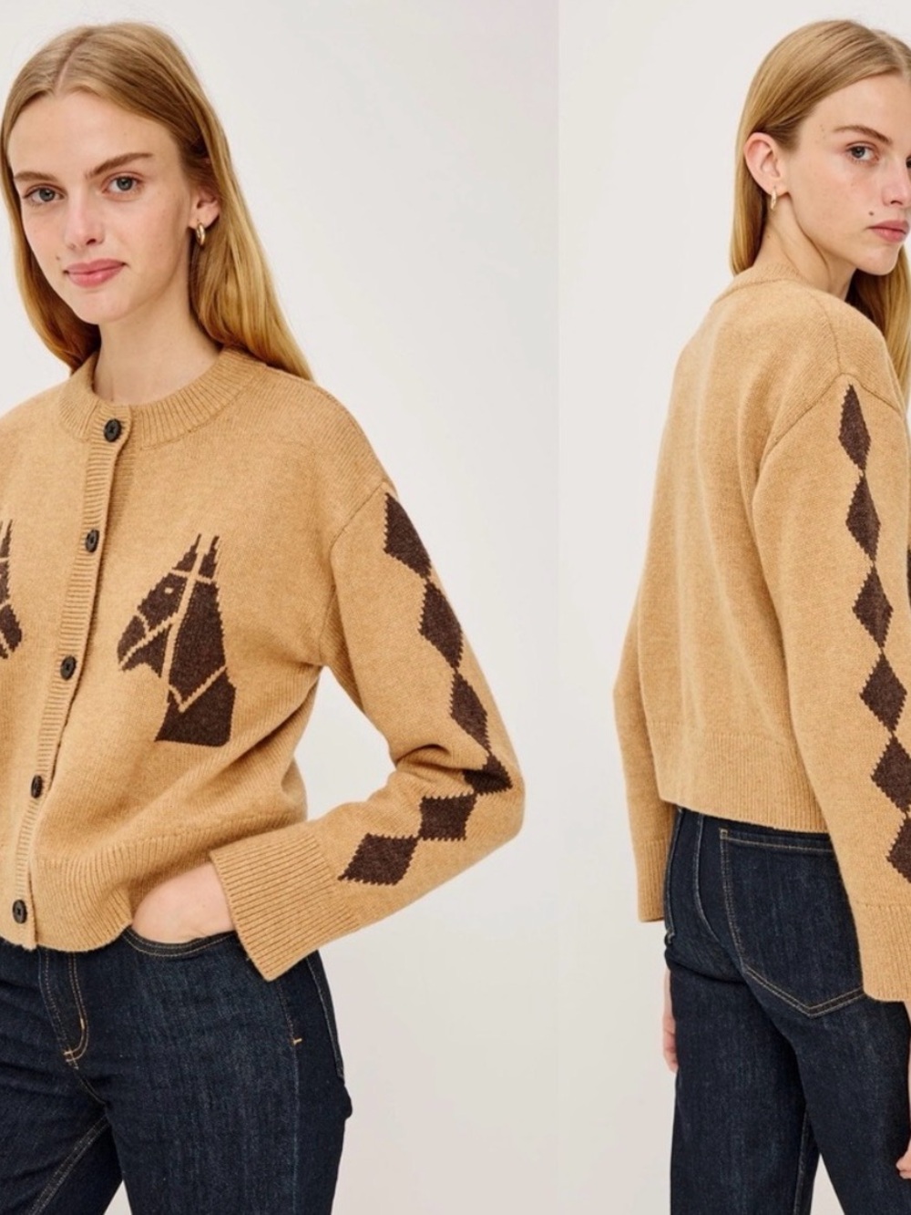 Camel & Brown Horse-Intarsia Button Cardigan Sweater